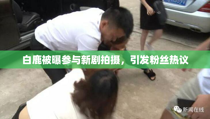 白鹿被曝参与新剧拍摄，引发粉丝热议