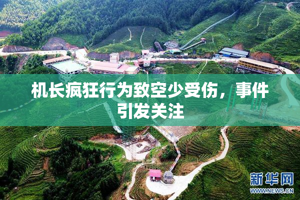机长疯狂行为致空少受伤，事件引发关注