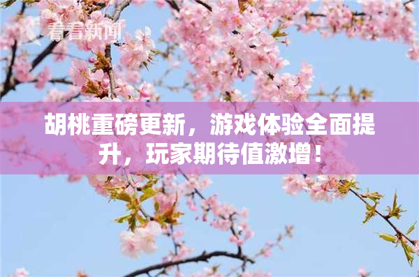 胡桃重磅更新，游戏体验全面提升，玩家期待值激增！