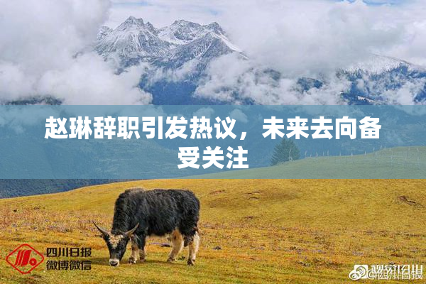 赵琳辞职引发热议，未来去向备受关注