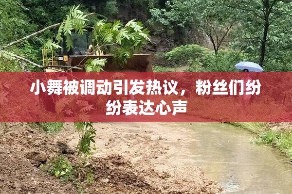 小舞被调动引发热议，粉丝们纷纷表达心声