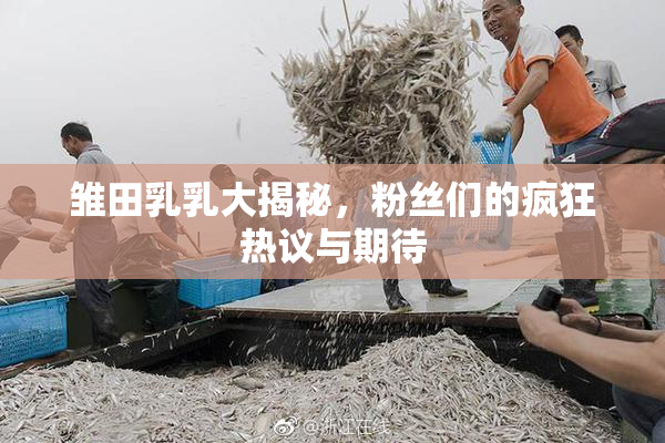 雏田乳乳大揭秘，粉丝们的疯狂热议与期待