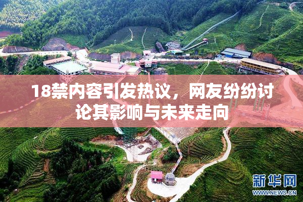 18禁内容引发热议，网友纷纷讨论其影响与未来走向