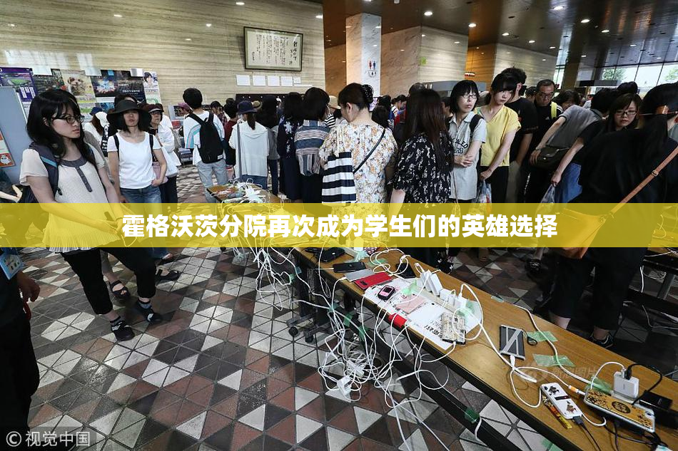 霍格沃茨分院再次成为学生们的英雄选择
