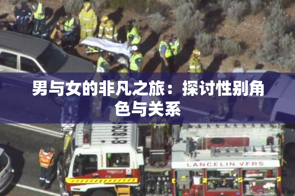 男与女的非凡之旅：探讨性别角色与关系