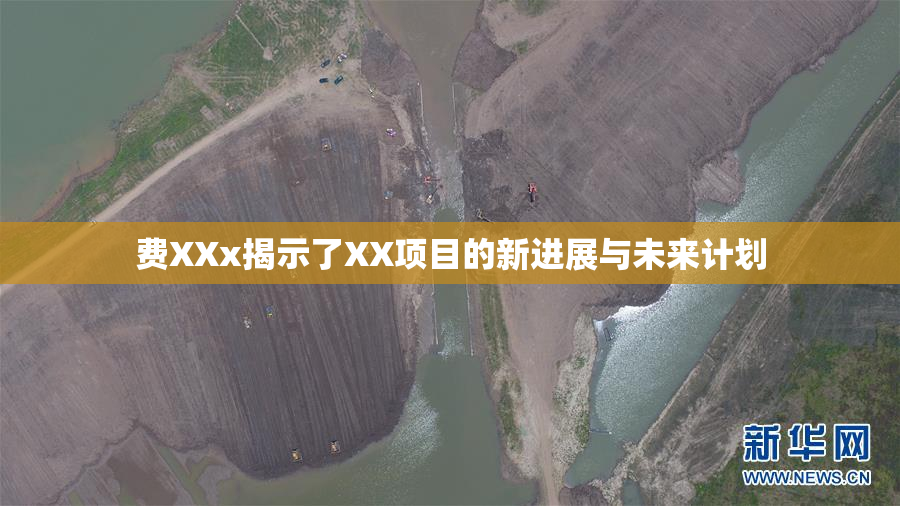 费XXx揭示了XX项目的新进展与未来计划