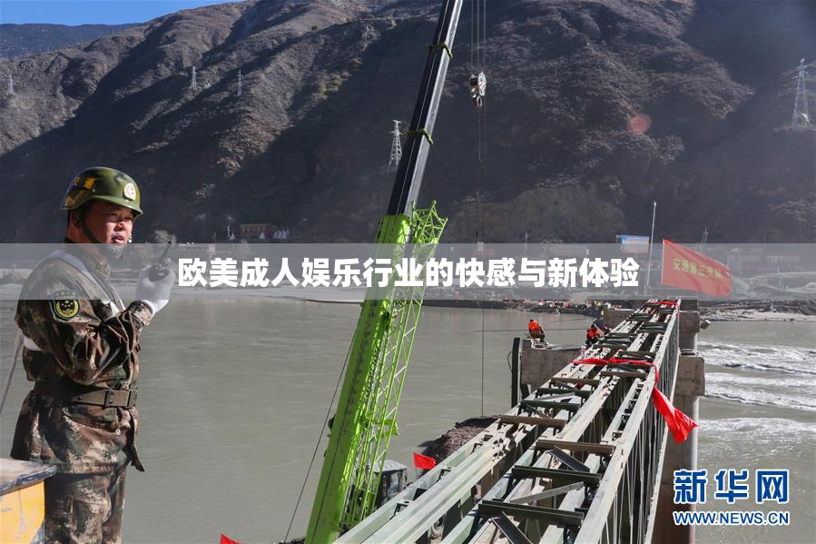 欧美成人娱乐行业的快感与新体验