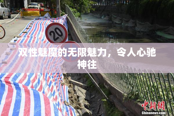 双性魅魔的无限魅力，令人心驰神往