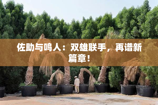 佐助与鸣人：双雄联手，再谱新篇章！
