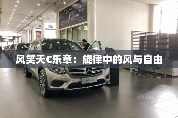 风笑天C乐章：旋律中的风与自由