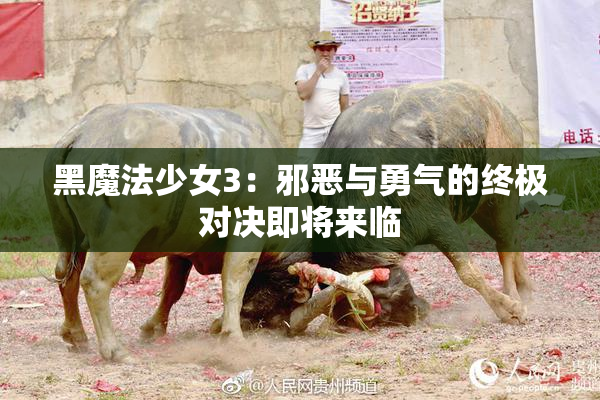 黑魔法少女3：邪恶与勇气的终极对决即将来临