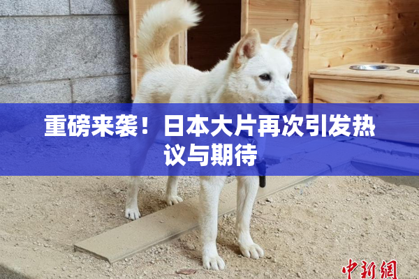 重磅来袭！日本大片再次引发热议与期待