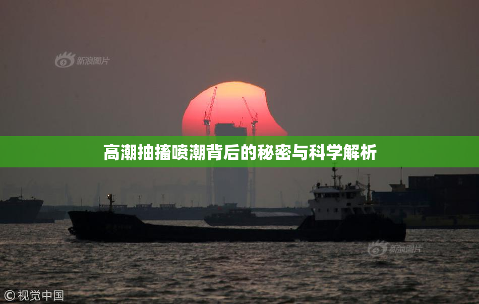 高潮抽搐喷潮背后的秘密与科学解析
