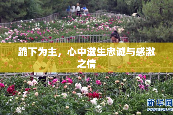 跪下为主，心中滋生忠诚与感激之情