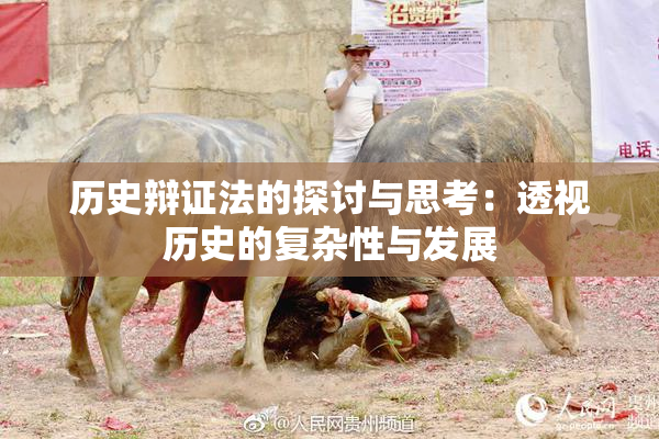 历史辩证法的探讨与思考：透视历史的复杂性与发展