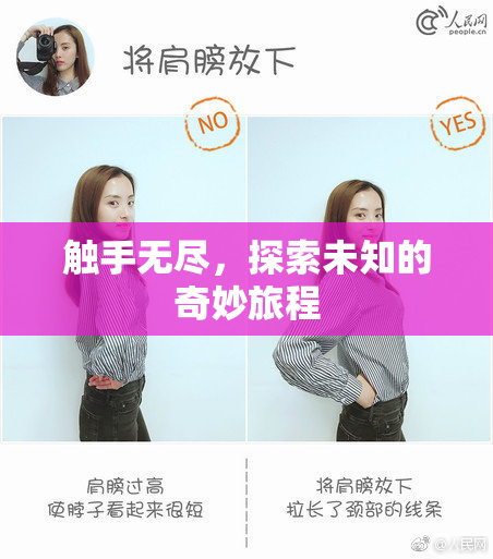 触手无尽，探索未知的奇妙旅程