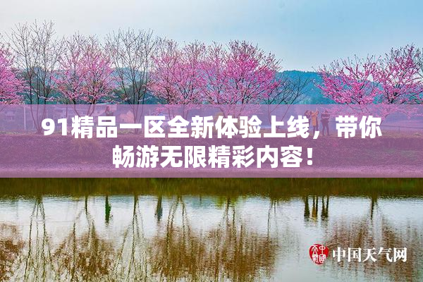 91精品一区全新体验上线，带你畅游无限精彩内容！