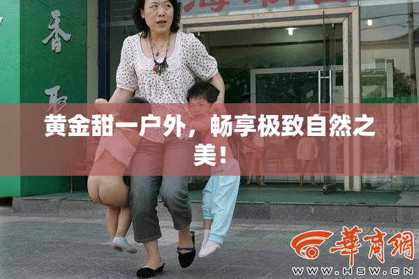 黄金甜一户外，畅享极致自然之美！