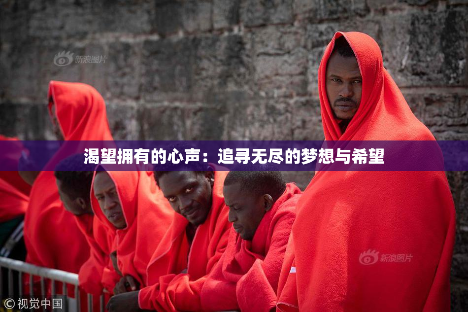 渴望拥有的心声：追寻无尽的梦想与希望