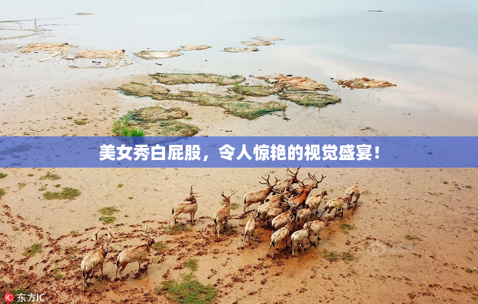 美女秀白屁股，令人惊艳的视觉盛宴！