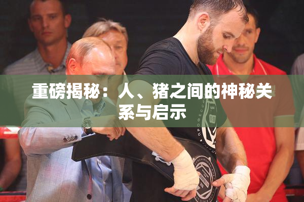 重磅揭秘：人、猪之间的神秘关系与启示