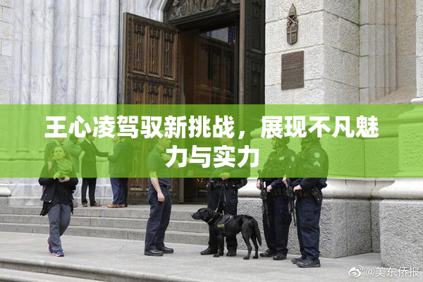 王心凌驾驭新挑战，展现不凡魅力与实力