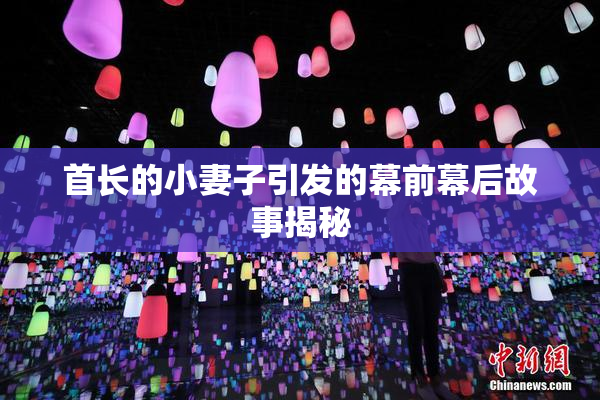 首长的小妻子引发的幕前幕后故事揭秘