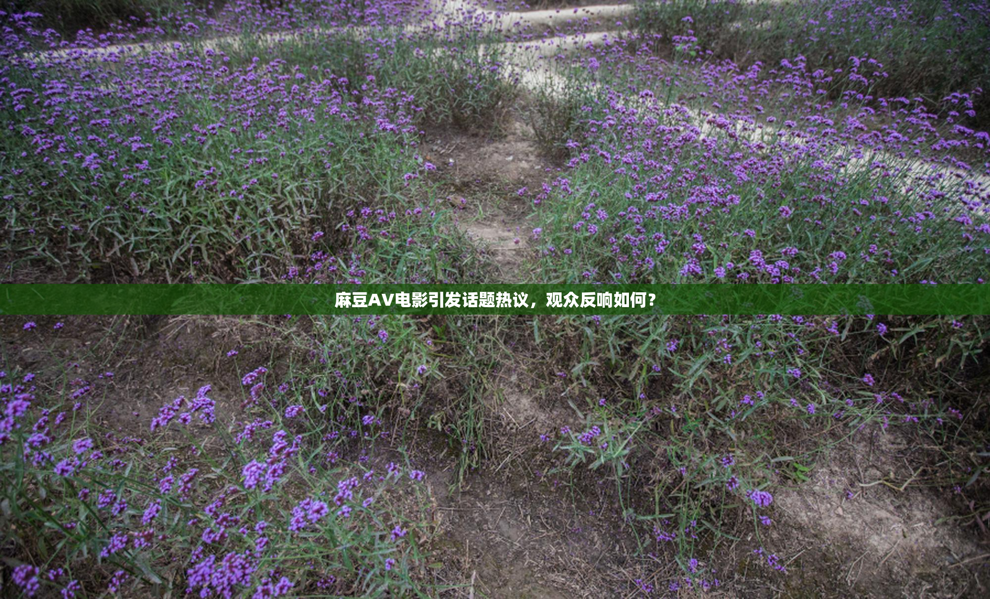 麻豆AV电影引发话题热议，观众反响如何？