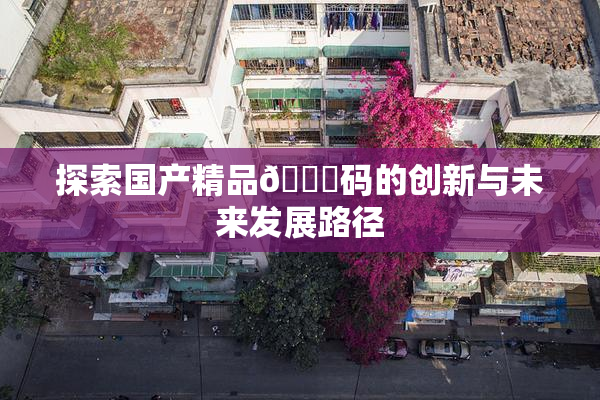 探索国产精品🈚码的创新与未来发展路径