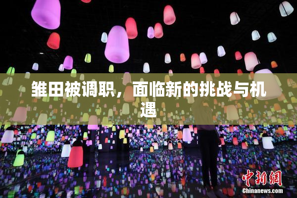 雏田被调职，面临新的挑战与机遇