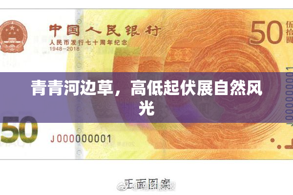 青青河边草，高低起伏展自然风光