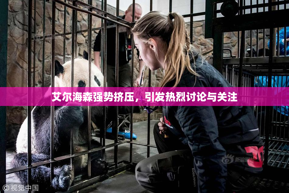 艾尔海森强势挤压，引发热烈讨论与关注