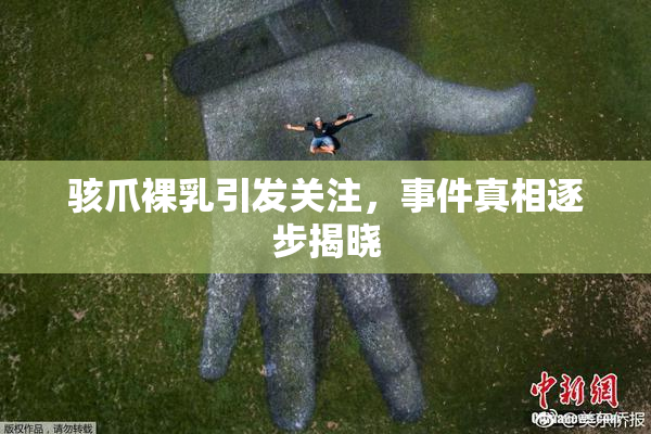 骇爪裸乳引发关注，事件真相逐步揭晓