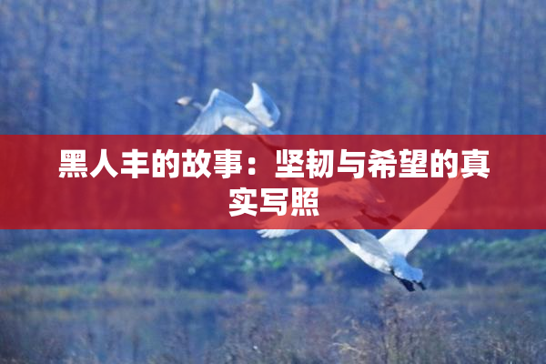 黑人丰的故事：坚韧与希望的真实写照