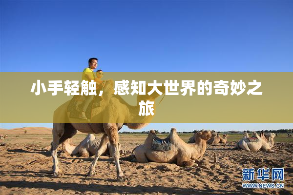 小手轻触，感知大世界的奇妙之旅