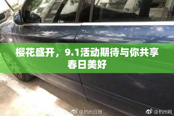 樱花盛开，9.1活动期待与你共享春日美好