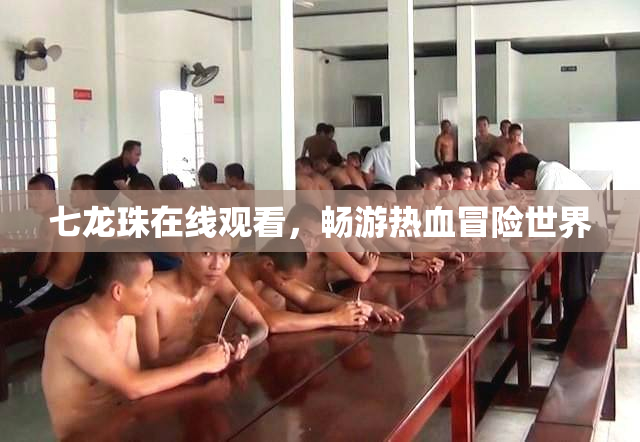 七龙珠在线观看，畅游热血冒险世界