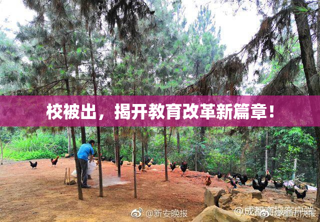 校被出，揭开教育改革新篇章！