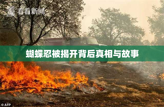 蝴蝶忍被揭开背后真相与故事