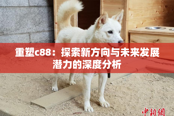 重塑c88：探索新方向与未来发展潜力的深度分析