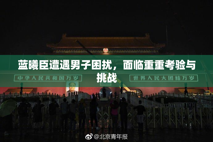 蓝曦臣遭遇男子困扰，面临重重考验与挑战