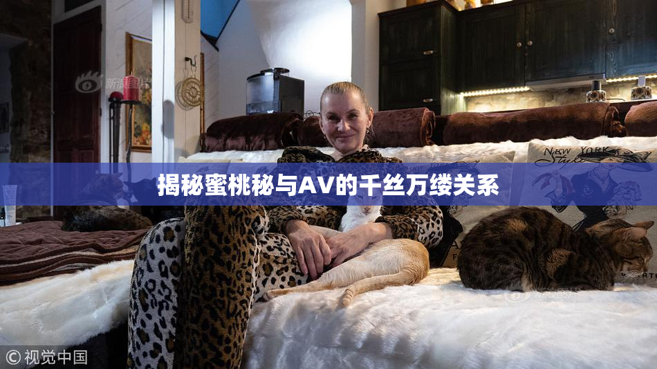 揭秘蜜桃秘与AV的千丝万缕关系