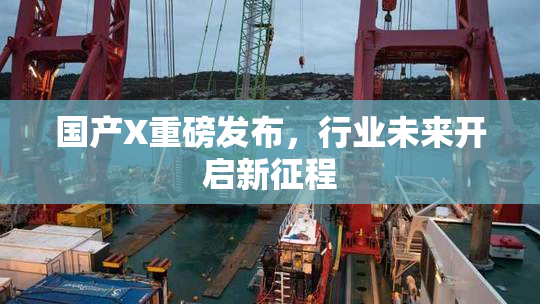 国产X重磅发布，行业未来开启新征程