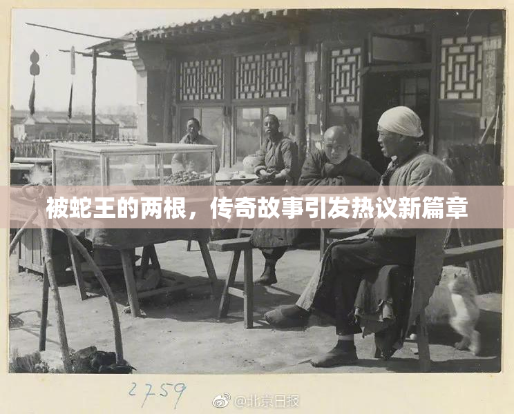 被蛇王的两根，传奇故事引发热议新篇章