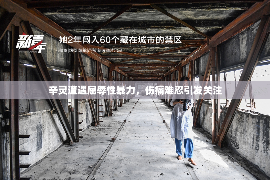 辛灵遭遇屈辱性暴力，伤痛难忍引发关注