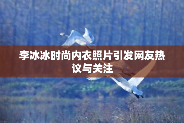 李冰冰时尚内衣照片引发网友热议与关注