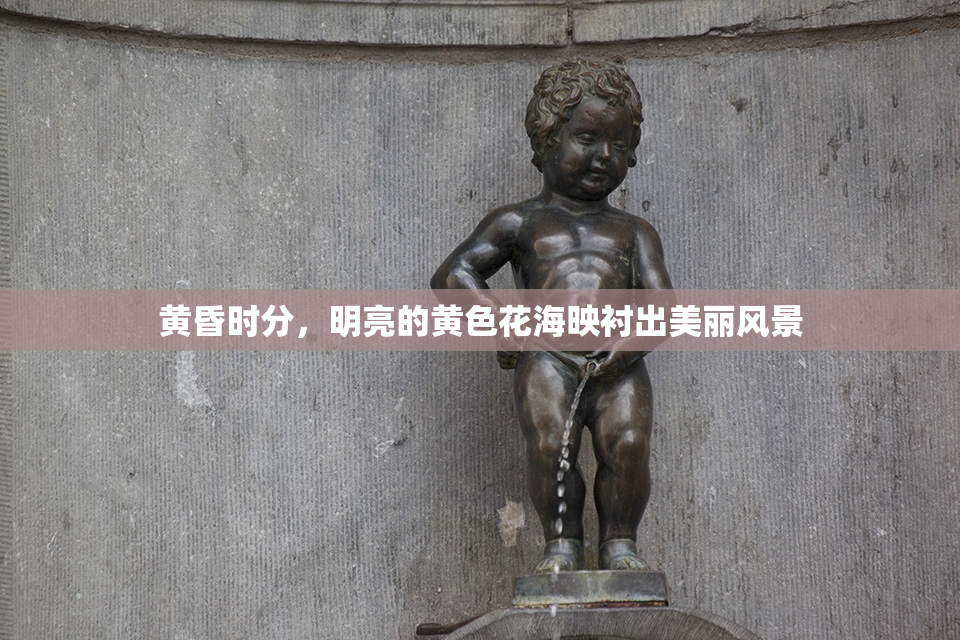 黄昏时分，明亮的黄色花海映衬出美丽风景