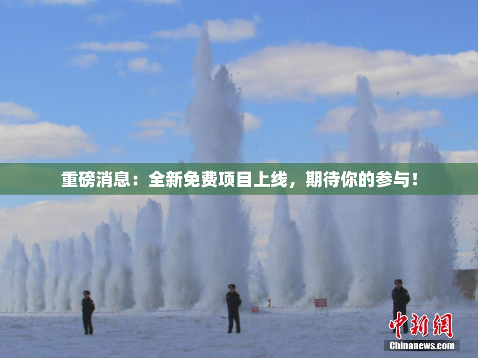 重磅消息：全新免费项目上线，期待你的参与！