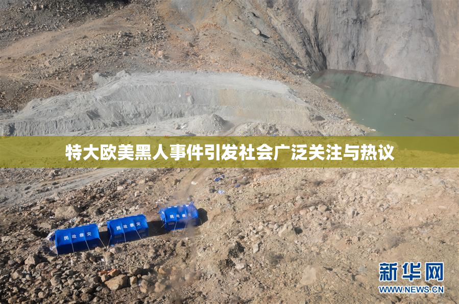 特大欧美黑人事件引发社会广泛关注与热议