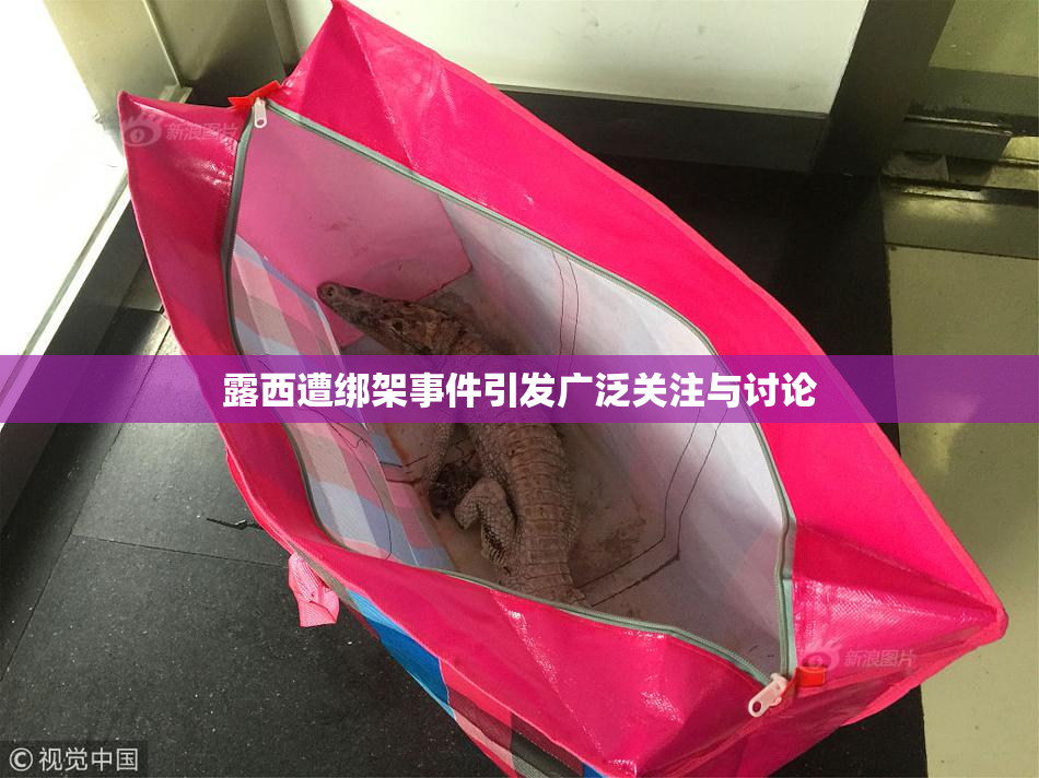 露西遭绑架事件引发广泛关注与讨论